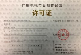 板塊式廣播電視節目 制作經營策略與創新發展