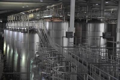 &ldquo;文化潤疆+產業興疆&rdquo;兩手抓 張裕8.6億打造新疆葡萄酒工業旅游新高地