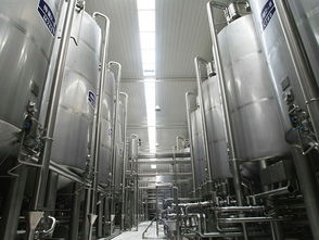 葡萄酒加工設(shè)備 溫州尚運(yùn)輕工sell 草莓酒生產(chǎn)線