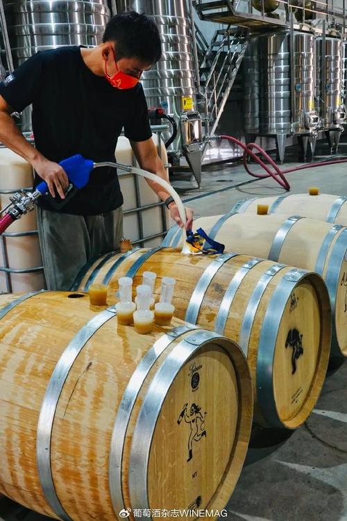 中國葡萄酒新勢力 釀松弛的酒，做最“野”的標(biāo)
